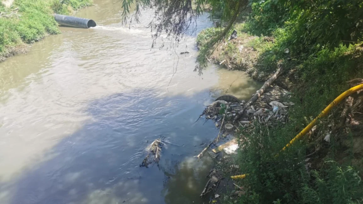 Alerta por el riego de verduras con aguas negras del río Arenales