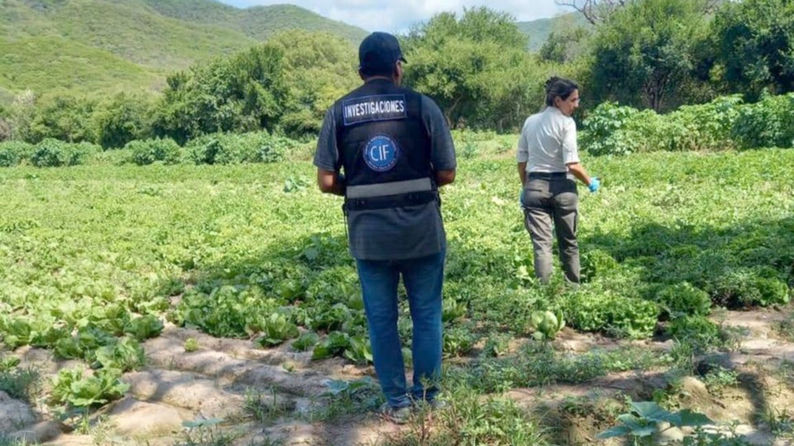 Ordenaron medidas por el uso de aguas contaminadas 