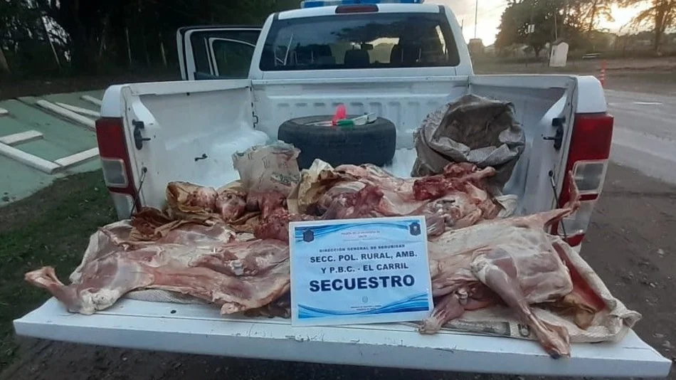 Secuestran lechones, cabritos y corderos: más de 150 kg de carne sin cadena de frío y no apta para consumo humano
