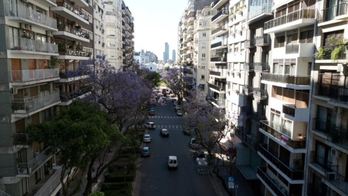 Cómo impacta el DNU en los alquileres
