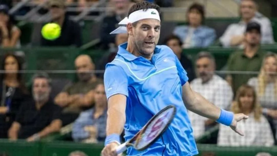 VIDEO. Del Potro le ganó a Djokovic y emocionó al público en su despedida del tenis
