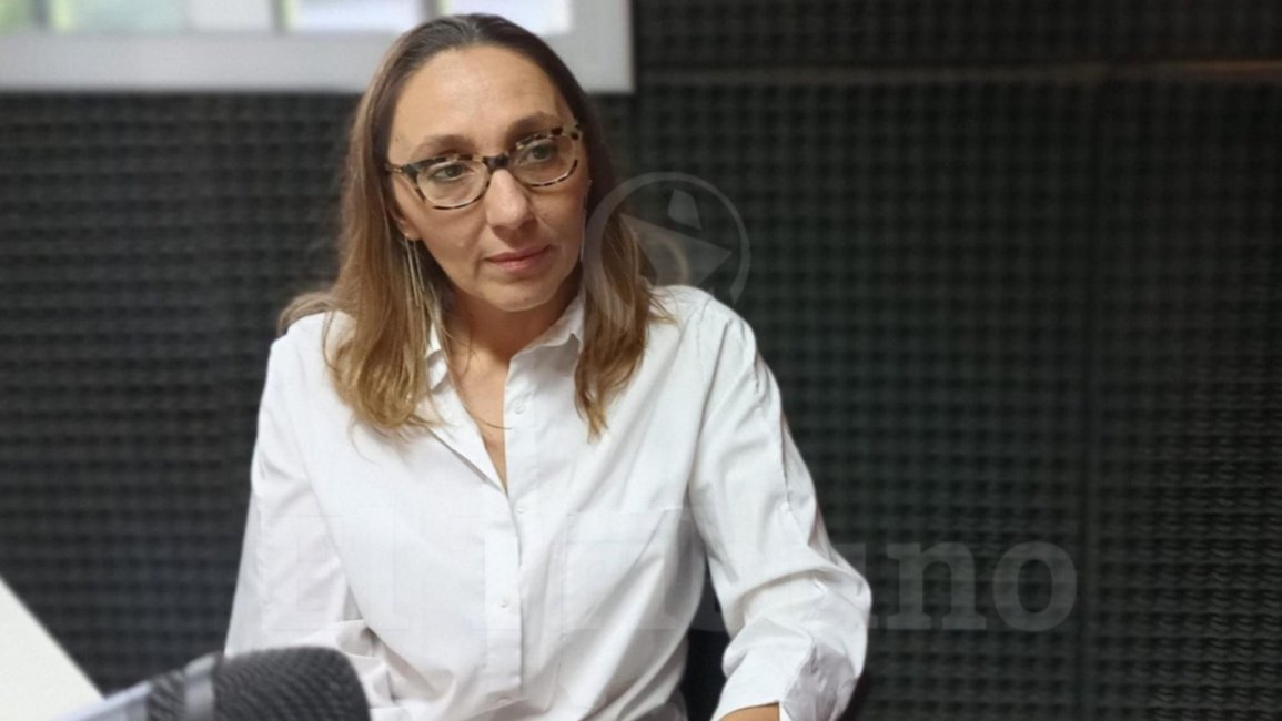 El factor determinante en la perfilación de Héctor Romero en el caso María Cash: "Fue clave analizar las inconsistencias en las declaraciones", dijo Natalia Colombo
