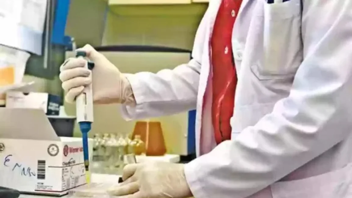 En lo que va del año se registraron 398 casos de salmonelosis en Salta