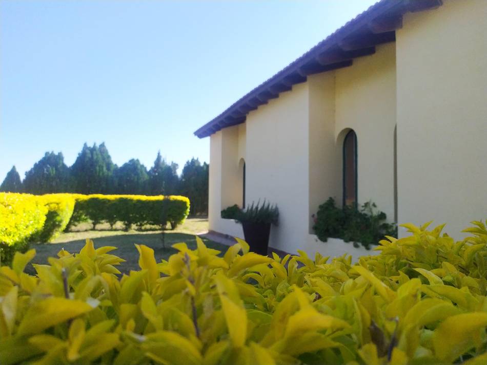 Crematorio Güemes: un último adiós con amor y dignidad para nuestras mascotas queridas