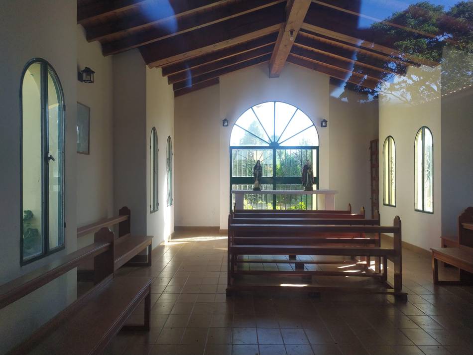 Crematorio Güemes: un último adiós con amor y dignidad para nuestras mascotas queridas