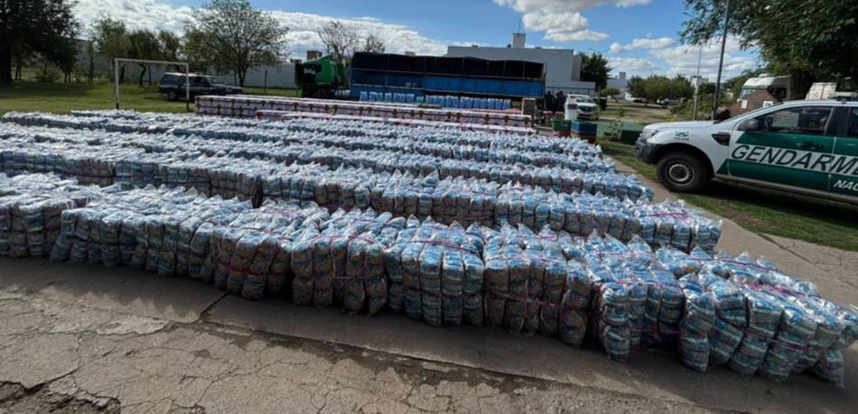 Secuestro millonario en Salta: Incautan casi cinco toneladas de hojas de coca ocultas en un camión con alimento