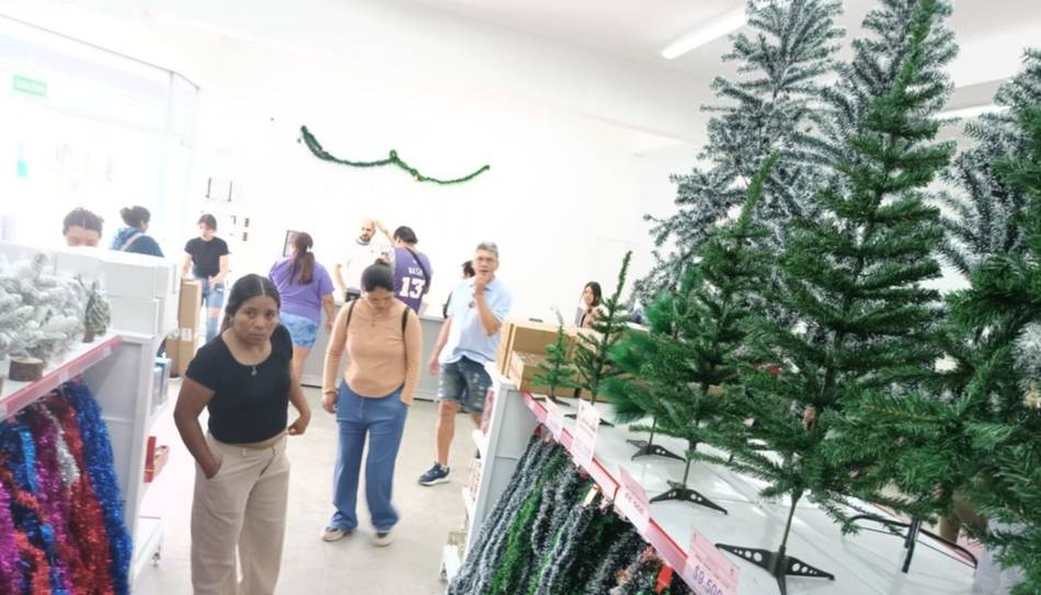Cuánto cuesta armar el arbolito de Navidad en Salta: descuentos, precios y variedades