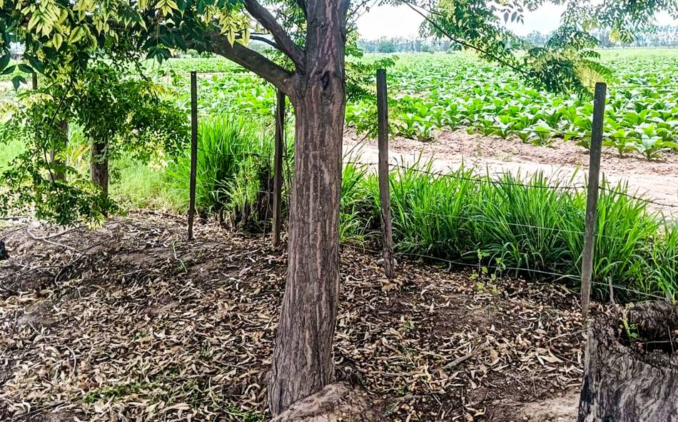 Guardiacárcel apareció sin vida en un barrio cerca de La Merced