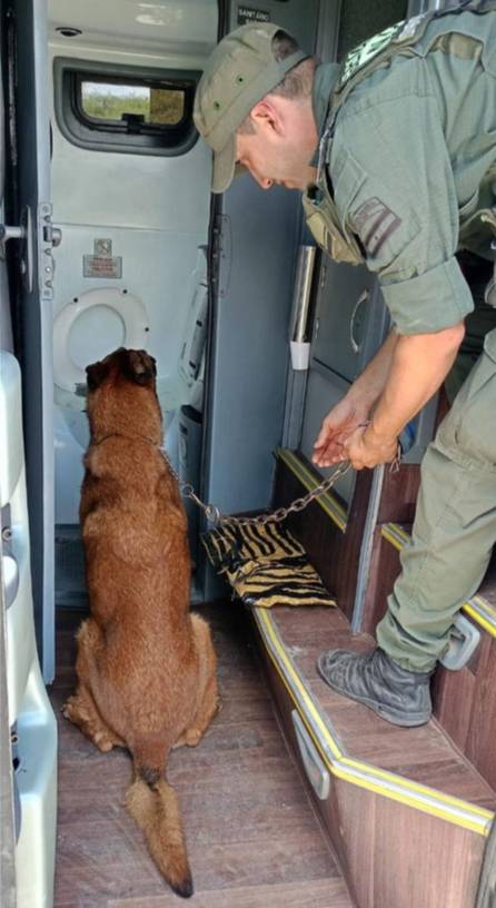 Ocultó cocaína en el baño de un ómnibus salido de Salta y terminó detenido durante un control en ruta