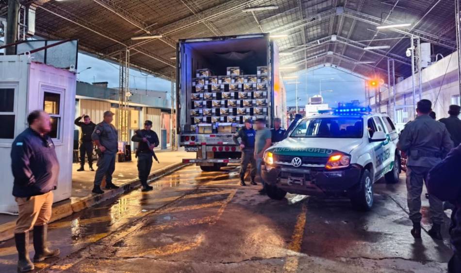 El aroma de la fruta no bastó: descubren 50 kilos de cocaína ocultos en un cargamento de bananas