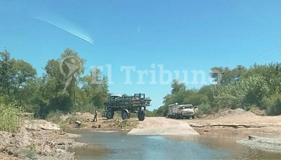 VIDEO. Metán: denuncian la mortandad de 14 vacas envenenadas con agroquímicos