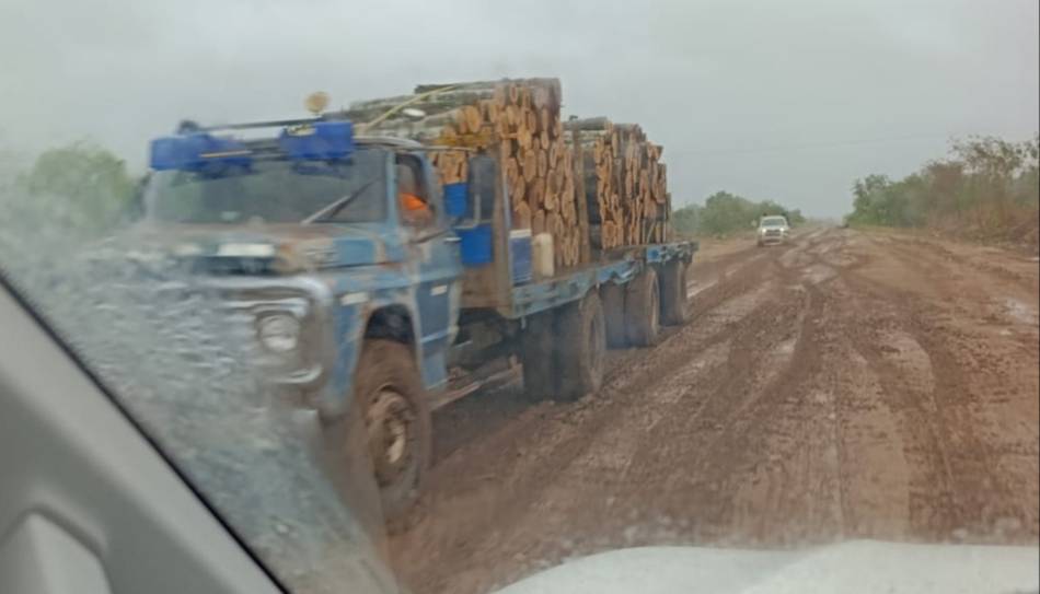 Denuncian robos, deforestación e inacción judicial en la ruta 86