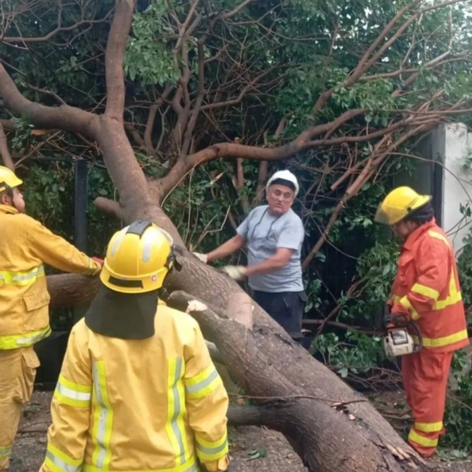 Así amaneció Colonia Santa Rosa después del temporal