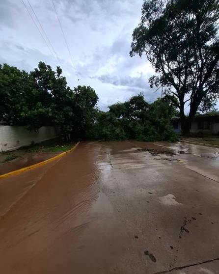 Así amaneció Colonia Santa Rosa después del temporal