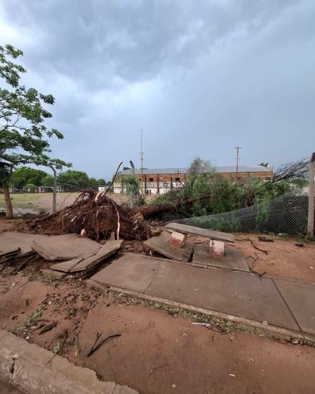 Así amaneció Colonia Santa Rosa después del temporal