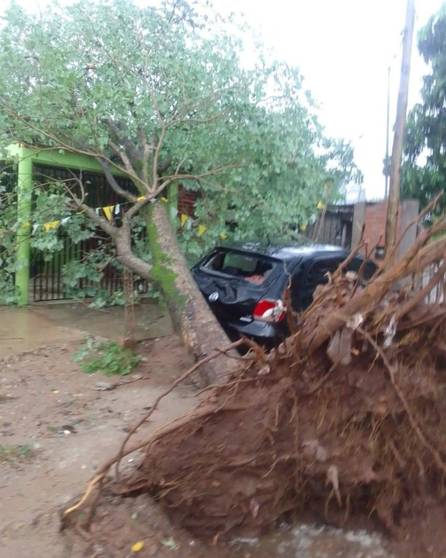 Así amaneció Colonia Santa Rosa después del temporal