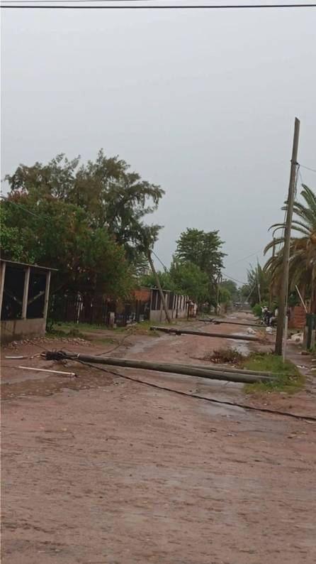 Así amaneció Colonia Santa Rosa después del temporal